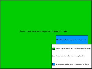 Primeira área de plantio.