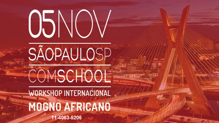 WorkShop - Mogno Africano